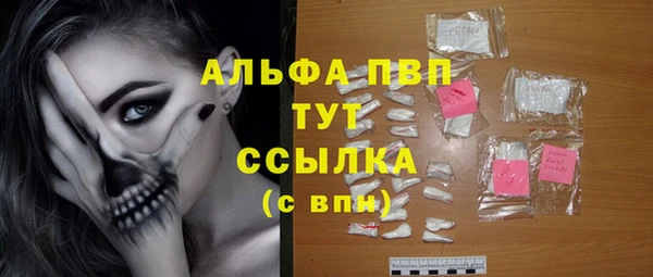 гашик Арсеньев