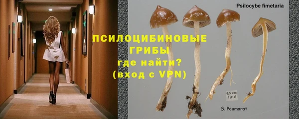 гашик Арсеньев